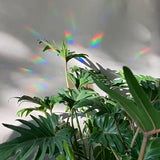Rainbow Maker Sticker: Keep going to keep growing