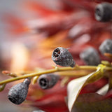 FALL FAUX-DRIED OAT BUSH