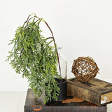 Soft Touch Dripping Cedar Pick