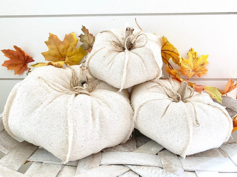 Natural Cotton Pumpkin Set