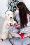 Human and Dog Matching Christmas Sock Set