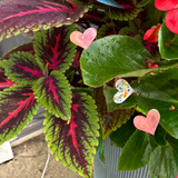 Copper Garden Stake Mini: Hearts