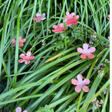 Copper Garden Stake Mini: Flower