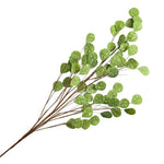 Large Green Stem