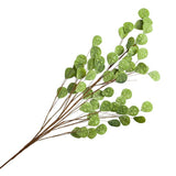 Large Green Stem