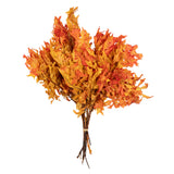 Real Pressed Dried Oak Bouquet