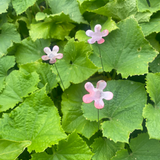 Copper Garden Stake Mini: Flower
