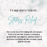 Stress Relief Shower Cube