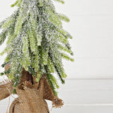 24" Snowy Pine Tree