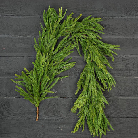 6' Soft Touch Norfolk Pine Garland
