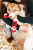 Human and Dog Matching Christmas Sock Set