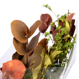 Eucalyptus Bouquet