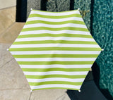 Plant Cabana: Lime Stripe