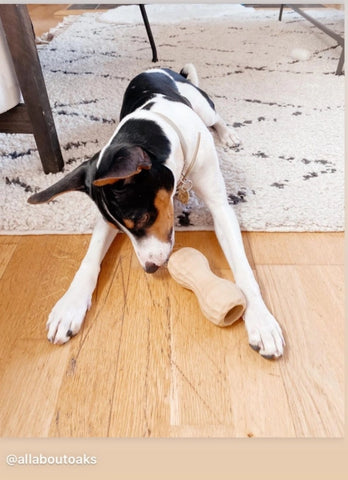 Medium Dog Chew Toy Filler