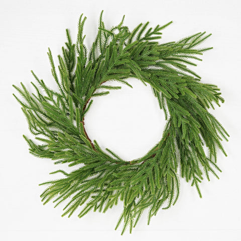 24" Soft Touch Evergreen Norfolk Pine Wreath
