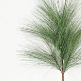 Evergreen Jumbo Needle Pine Pick