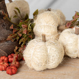 Sisal Pumpkins: Natural