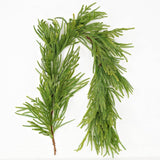 6' Soft Touch Norfolk Pine Garland