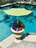Plant Cabana: Lime Stripe