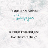 Champagne Shower Cube