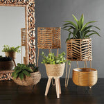 Lined Wire Planter
