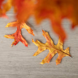 Real Pressed Dried Oak Bouquet