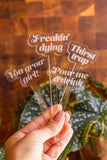 Funny Acrylic Plant Markers
