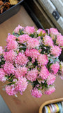 Wild Flower Bunch: Pink