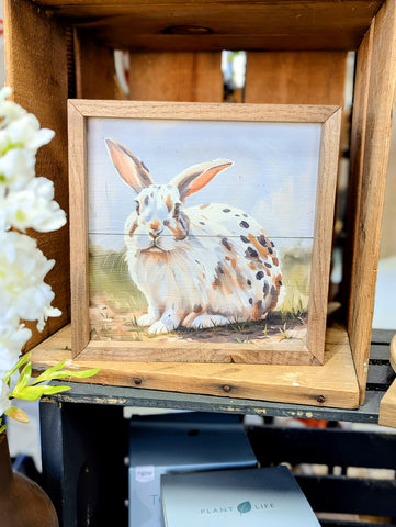 Spotted Bunny Framed Sign