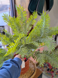 Soft Touch Fern Bush: Two Tone