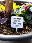 Snarky Plant Stakes