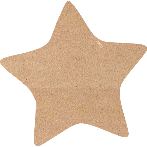 Starfish Blank